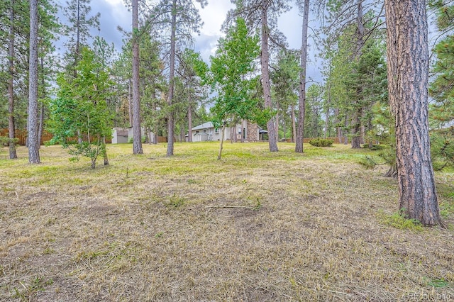 26732 Main St, Conifer, CO 80433 - view of yard