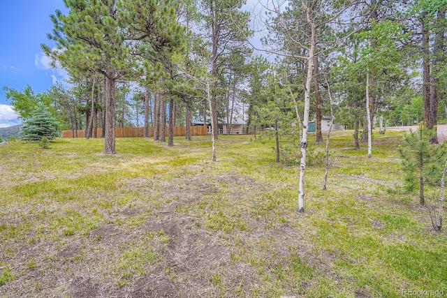 26732 Main St, Conifer, CO 80433 - view of yard