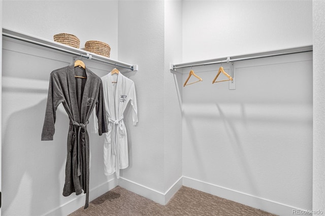 walk in closet with carpet flooring