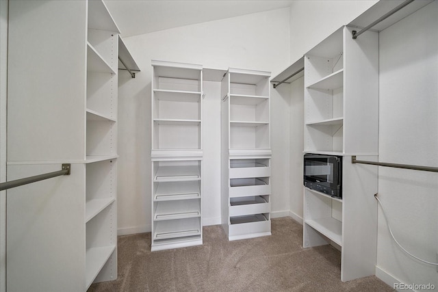 spacious closet with carpet