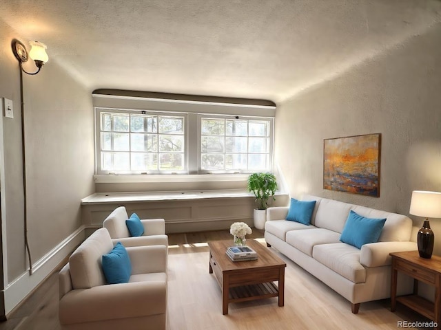 519 Broadway, Pueblo, CO 81004 - living room featuring plenty of natural light and light wood finished floors