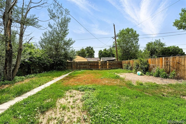 1941 Alton St, Aurora, CO 80010 - view of yard