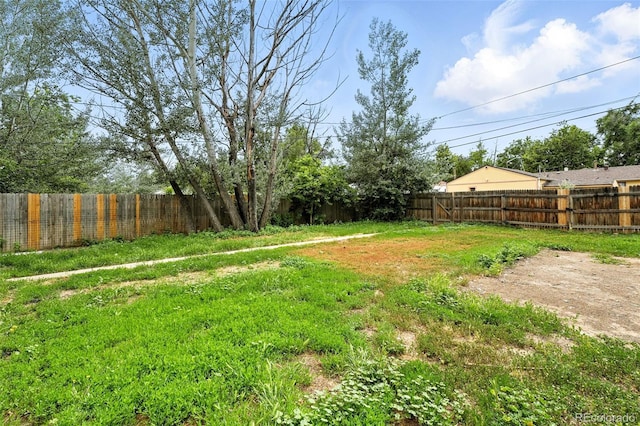 1941 Alton St, Aurora, CO 80010 - view of fenced backyard