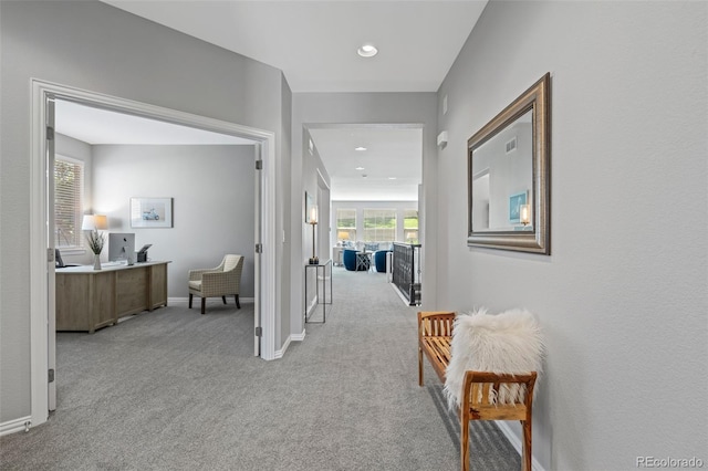 3092 Fox Sedge Pl, Highlands Ranch, CO 80126 - photo 15