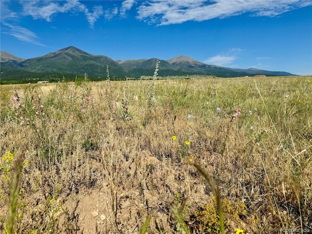 5151 County Road 160, Westcliffe, CO 81252 - photo 7
