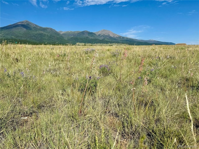 5151 County Road 160, Westcliffe, CO 81252 - photo 9