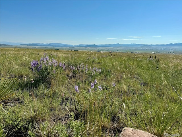 5151 County Road 160, Westcliffe, CO 81252 - photo 11