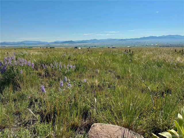5151 County Road 160, Westcliffe, CO 81252 - photo 20