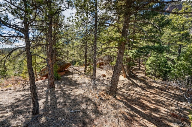 4835 Abo Ln, Monument, CO 80132 - view of wooded area