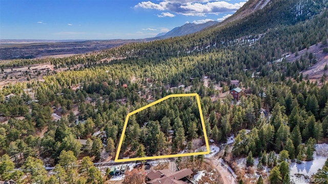 4835 Abo Ln, Monument, CO 80132 - aerial view of property's location with a forest, a mountainous background, and property parcel outlined