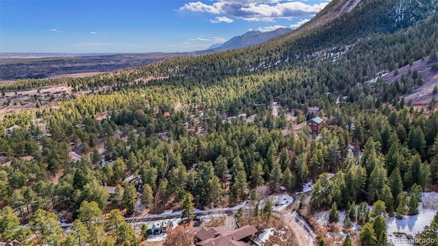 4835 Abo Ln, Monument, CO 80132 - aerial view of property's location featuring a forest and mountains