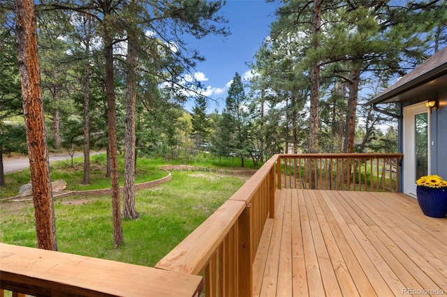4835 Abo Ln, Monument, CO 80132 - photo 4