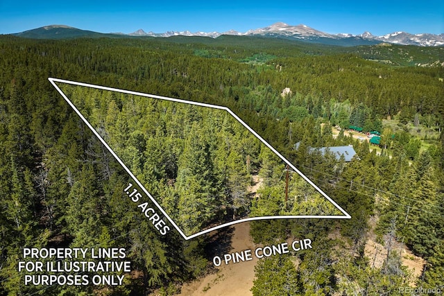 0 Pine Cone Cir, Ward, CO 80401