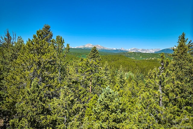 0 Pine Cone Cir, Ward, CO 80401