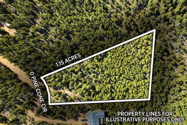 0 Pine Cone Cir, Ward, CO 80401