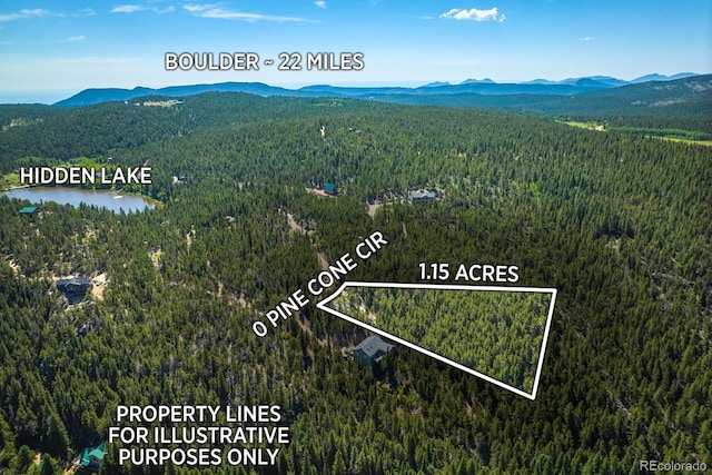 0 Pine Cone Cir, Ward, CO 80401