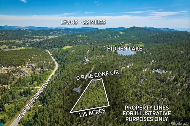 0 Pine Cone Cir, Ward, CO 80401