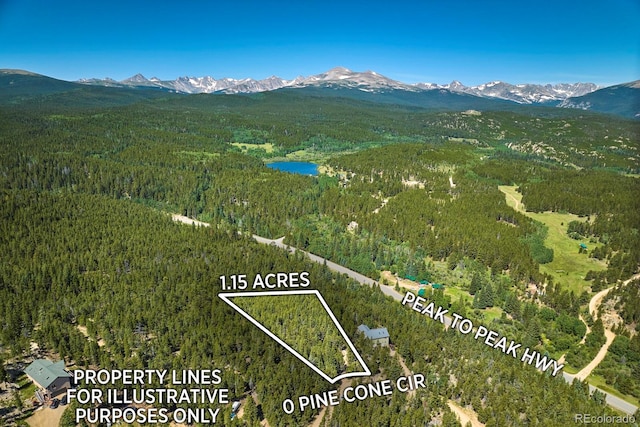 0 Pine Cone Cir, Ward, CO 80401
