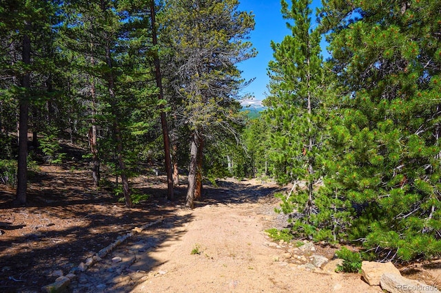 0 Pine Cone Cir, Ward, CO 80401