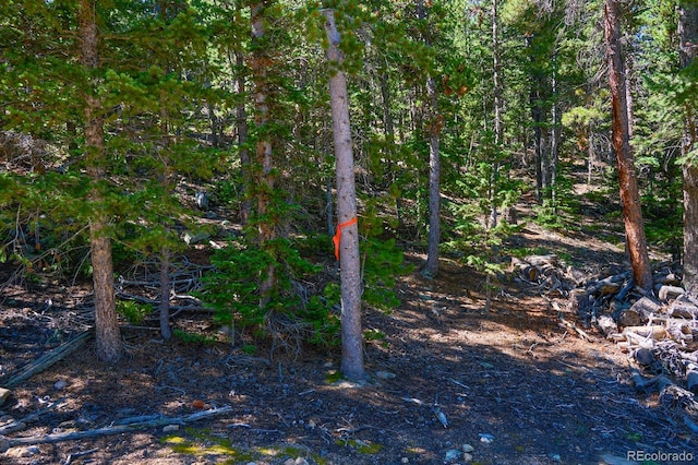 0 Pine Cone Cir, Ward, CO 80401