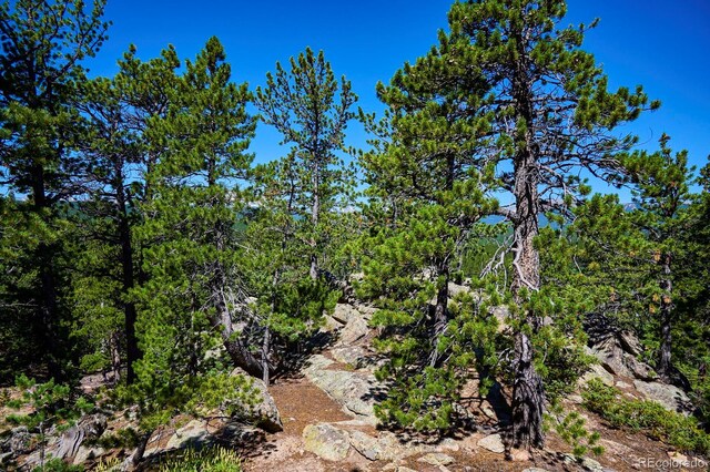 0 Pine Cone Cir, Ward, CO 80401