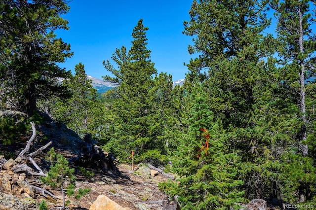 0 Pine Cone Cir, Ward, CO 80401