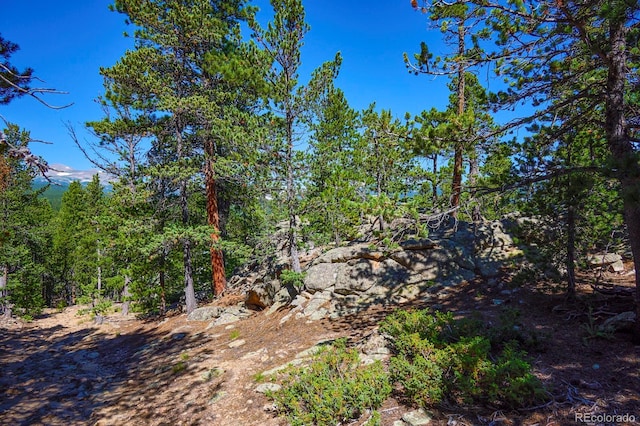 0 Pine Cone Cir, Ward, CO 80401