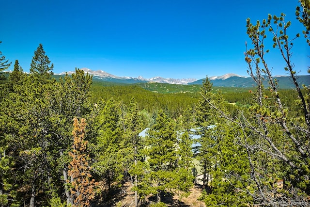 0 Pine Cone Cir, Ward, CO 80401