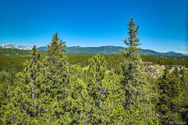 0 Pine Cone Cir, Ward, CO 80401