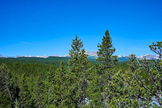 0 Pine Cone Cir, Ward, CO 80401