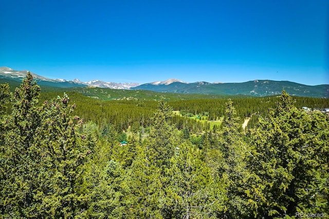 0 Pine Cone Cir, Ward, CO 80401