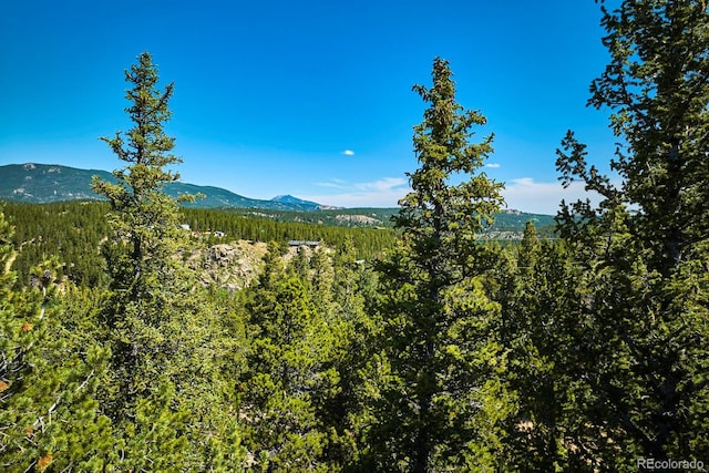 0 Pine Cone Cir, Ward, CO 80401