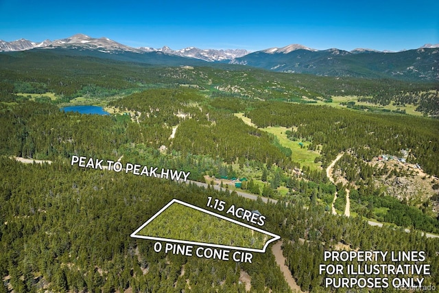 0 Pine Cone Cir, Ward, CO 80401