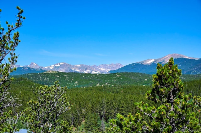 0 Pine Cone Cir, Ward, CO 80401