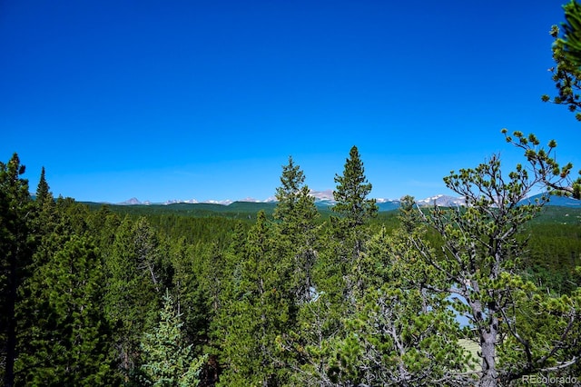 0 Pine Cone Cir, Ward, CO 80401