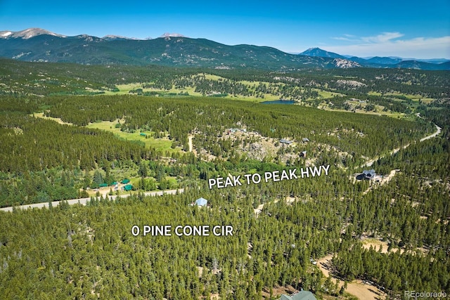 0 Pine Cone Cir, Ward, CO 80401