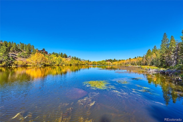 0 Pine Cone Cir, Ward, CO 80401