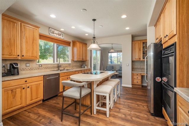 kitchen with stainless steel appliances, dark hardwood / wood-style floors, and a wealth of natural light