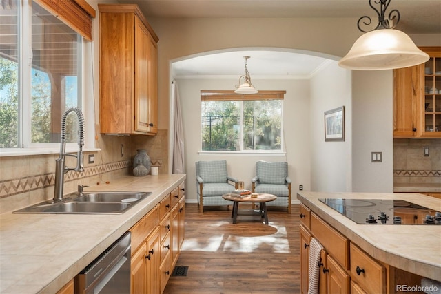 kitchen featuring decorative light fixtures, sink, a healthy amount of sunlight, and black electric cooktop