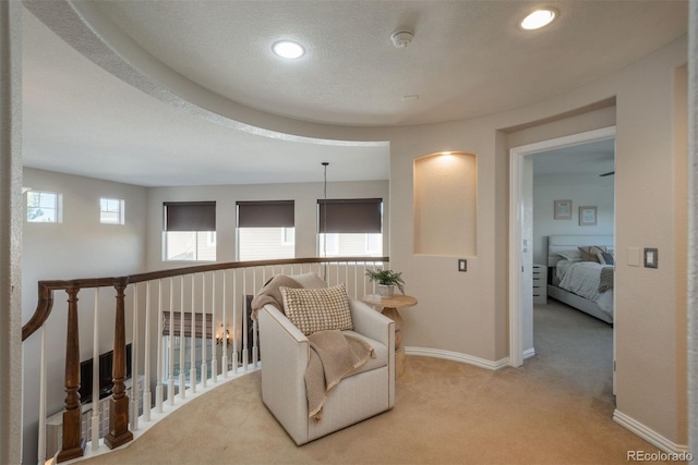 sitting room with light carpet and a textured ceiling