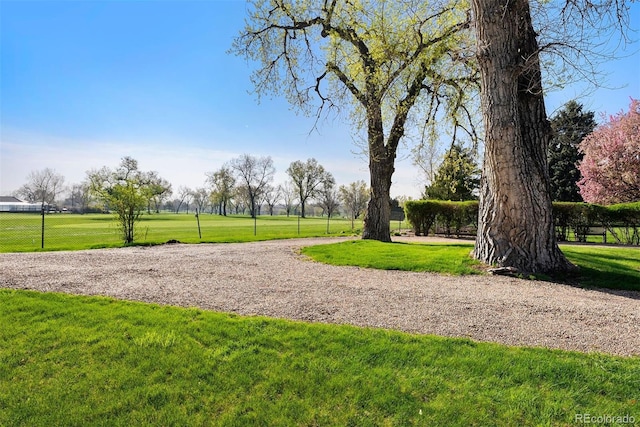 6990 W 9th Pl, Lakewood, CO 80214 - photo 23