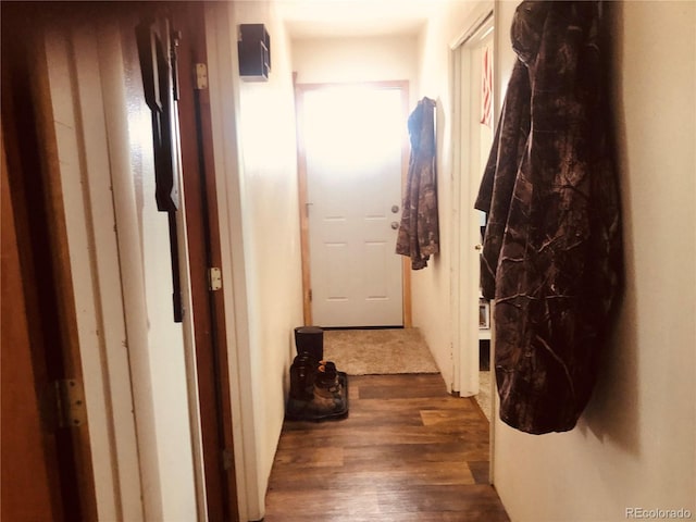 hall featuring wood finished floors