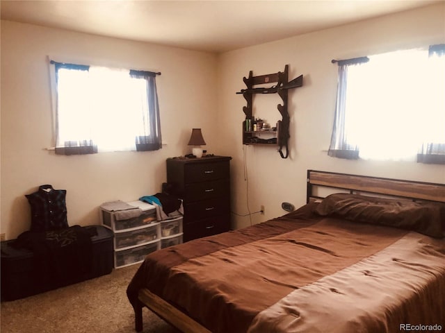 bedroom with carpet