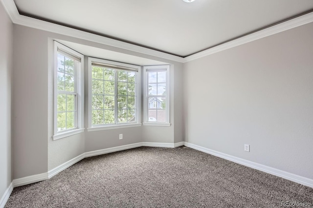 1427 Curtiss Ct, Fort Collins, CO 80526 - photo 21