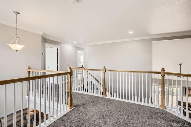 1427 Curtiss Ct, Fort Collins, CO 80526 - photo 25