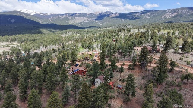 60 Ball Rd, Bailey, CO 80421 - view of mountain background with a heavily wooded area