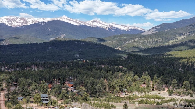 60 Ball Rd, Bailey, CO 80421 - mountain view with a forest