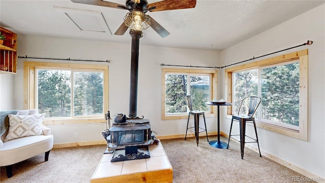 60 Ball Rd, Bailey, CO 80421 - living area featuring a wood stove, healthy amount of natural light, and baseboards