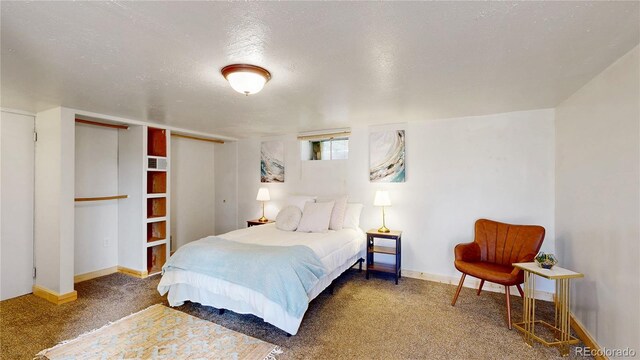 60 Ball Rd, Bailey, CO 80421 - bedroom with carpet flooring, a textured ceiling, baseboards, and a closet