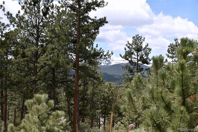 60 Ball Rd, Bailey, CO 80421 - mountain view featuring a forest